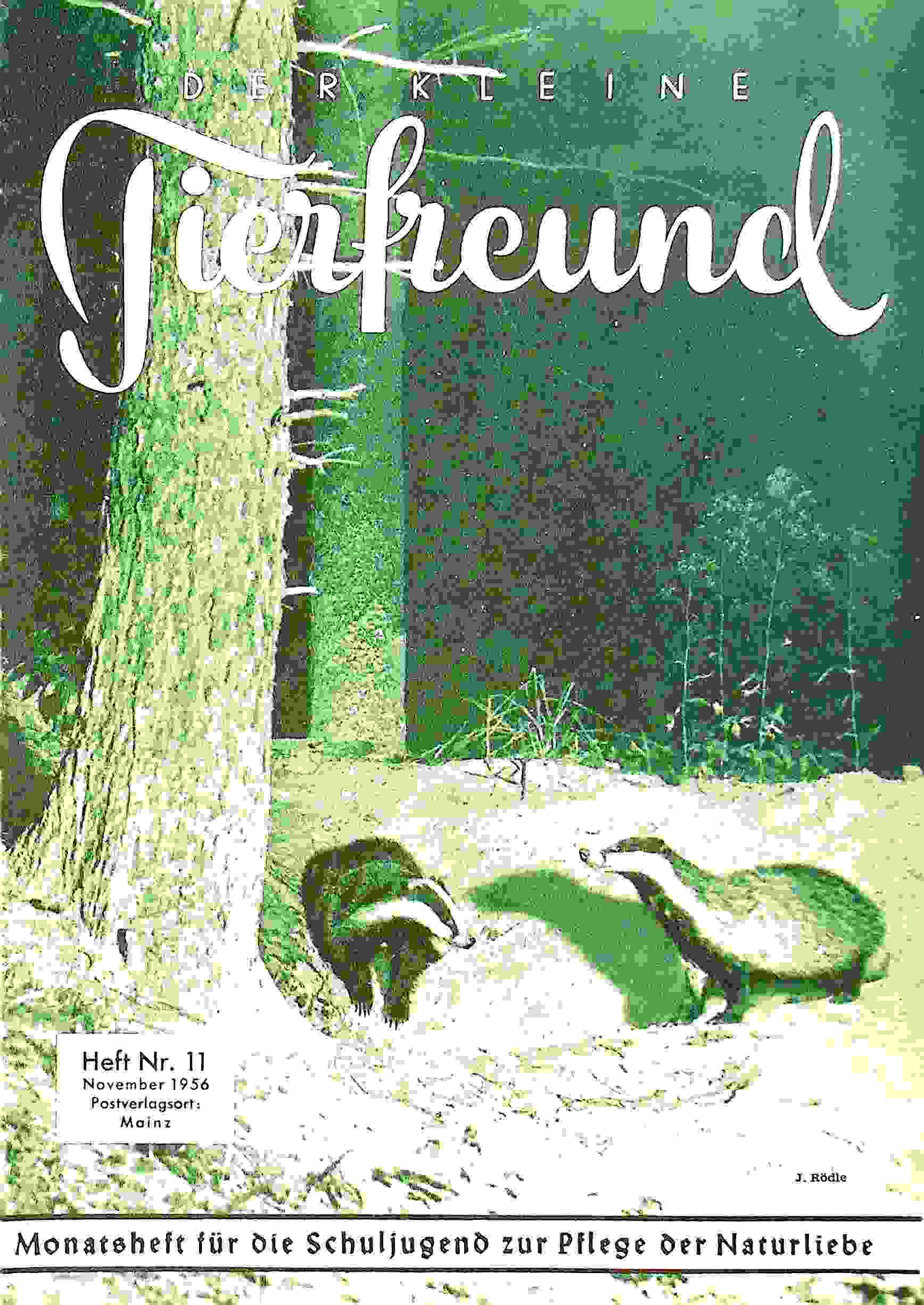 Der kleine Tierfreund 11/1956